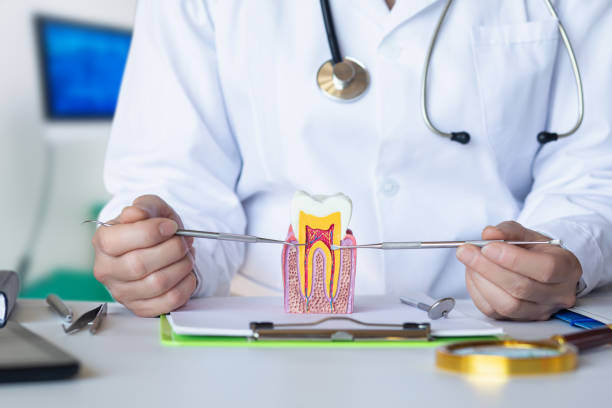 Best Emergency TMJ Treatment in Hull, IA